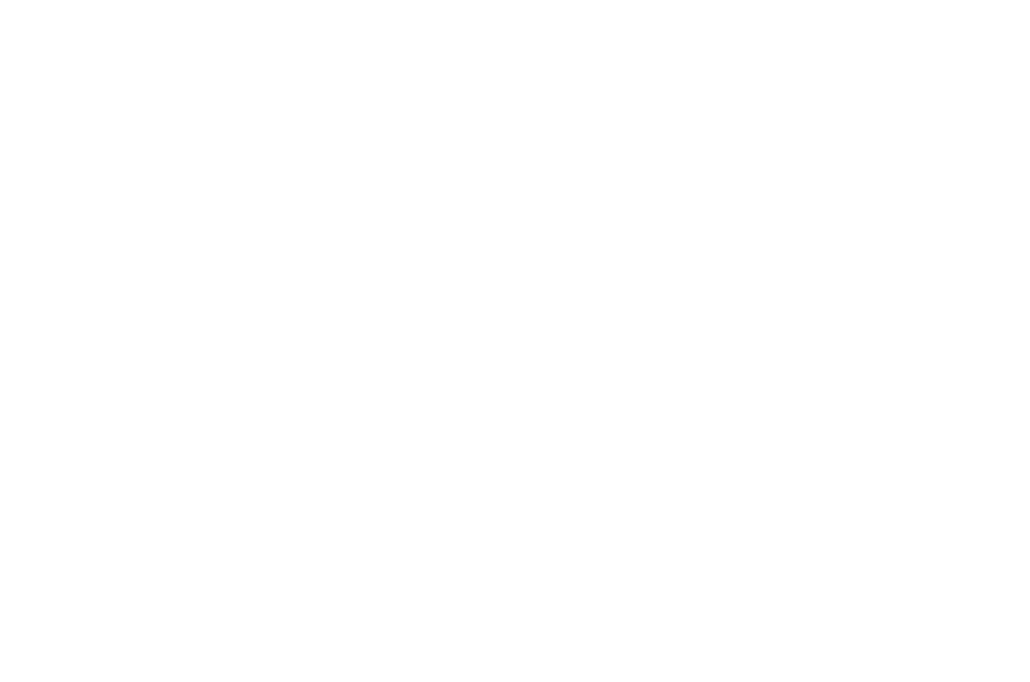 Ocean to Ocean Logo