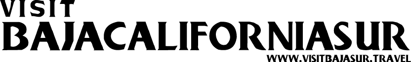 Visit Baja Logo